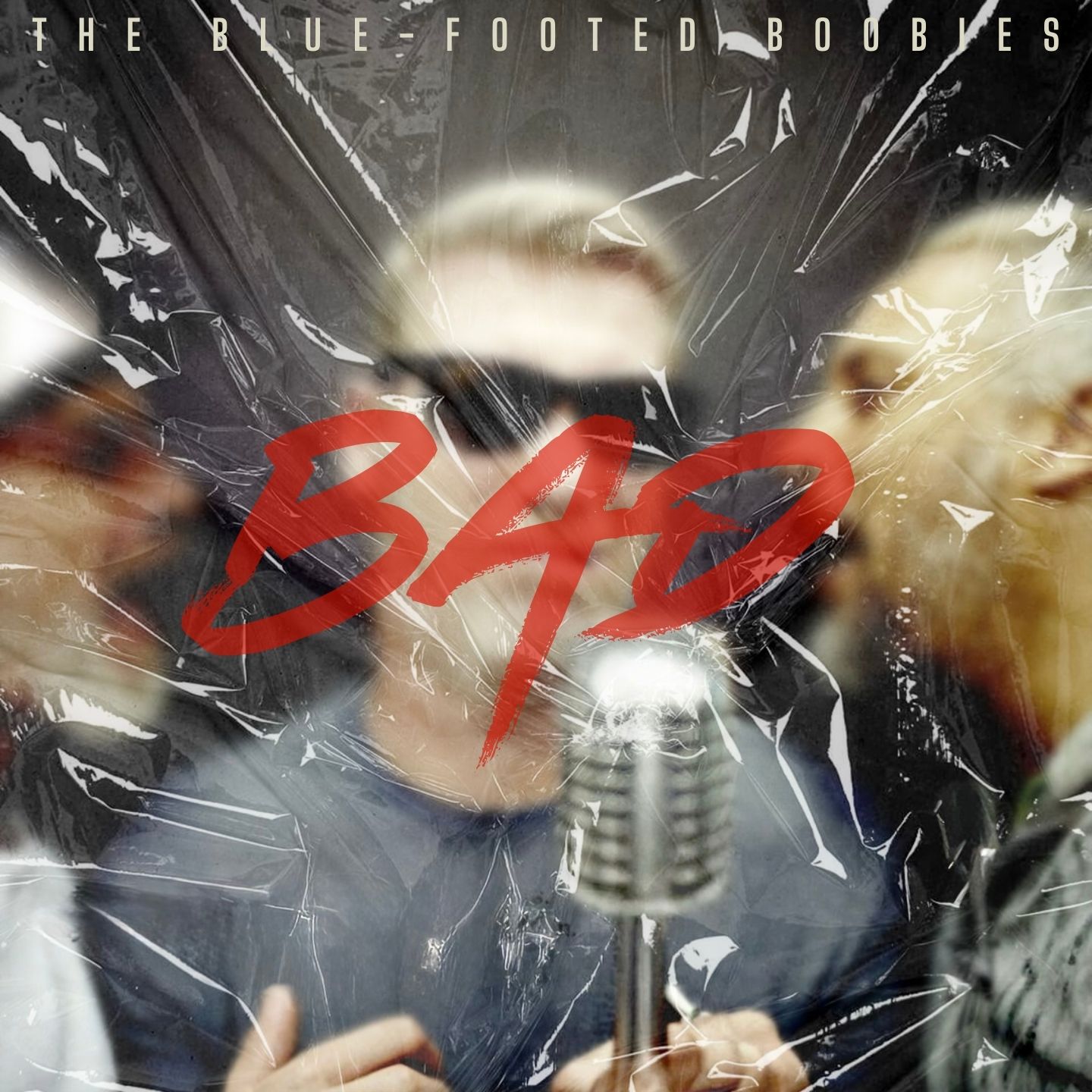 Photo de Cover_Bad_TBFB.jpg