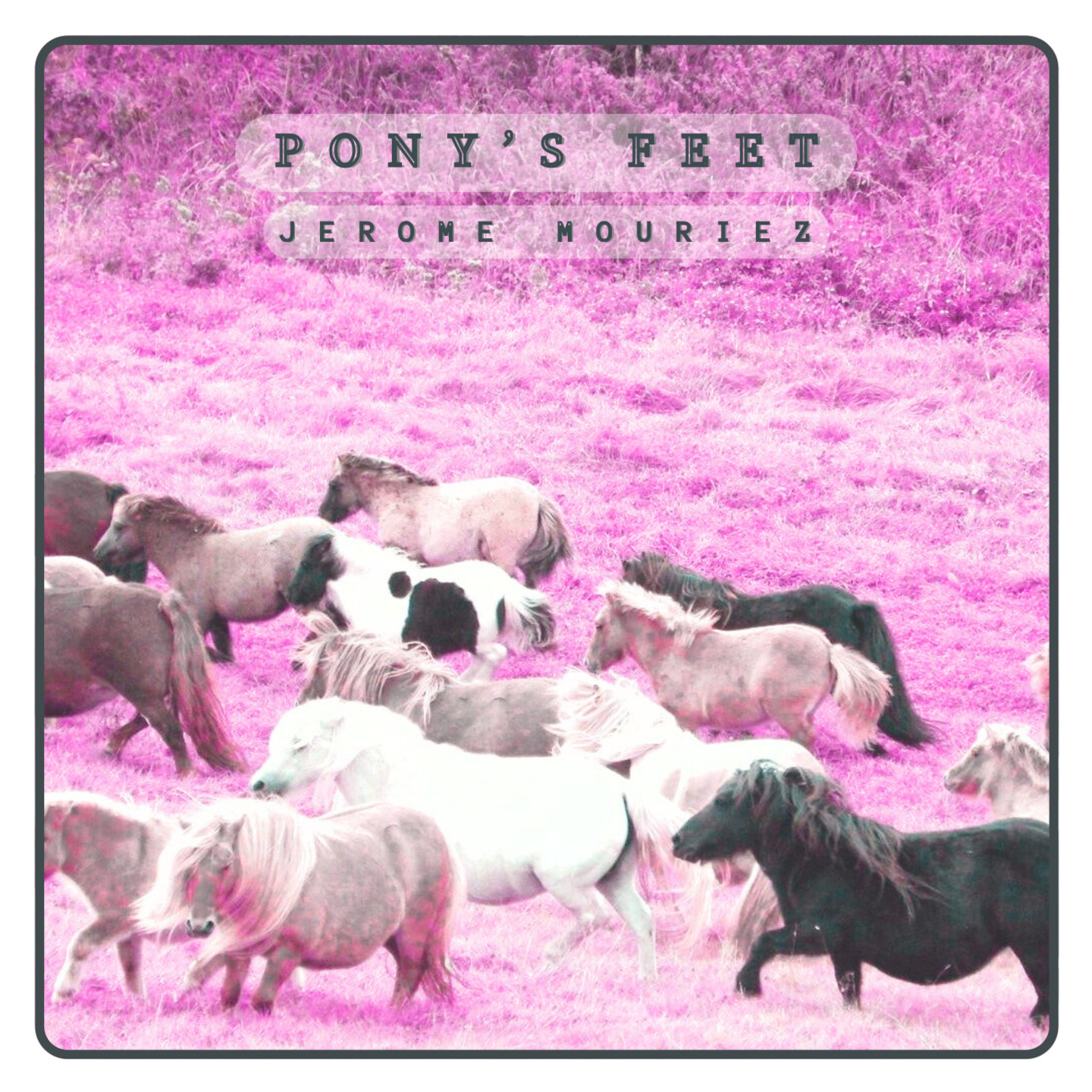 Cover de l'album Ponys Feet